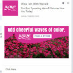 Wow 'em With Wave